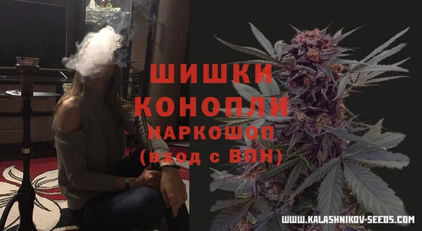 apvp Алзамай